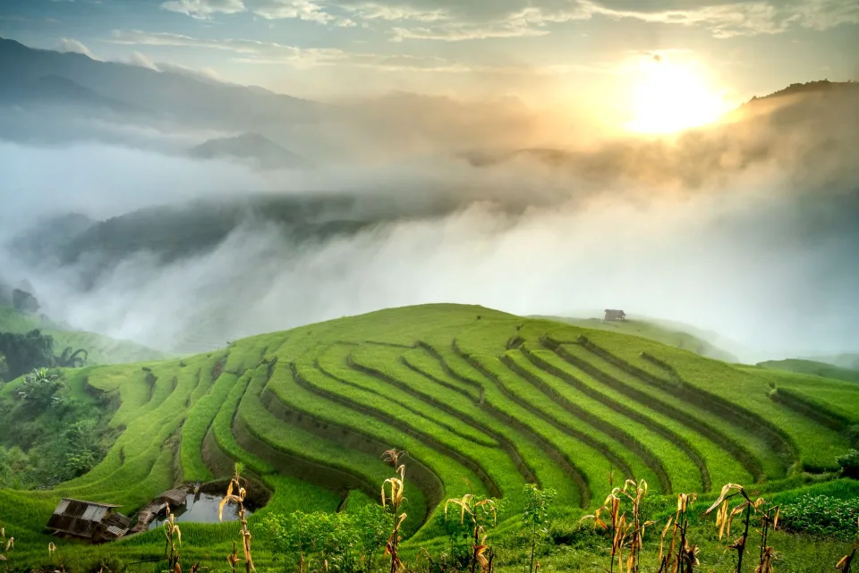 Kho gạo của Lê Anh Dũng